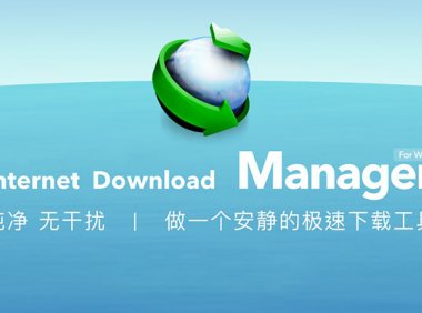 IDM(Internet Download Manager) 6.42.20 简体中文特别版